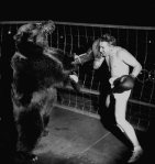 0000000000boxing_bear