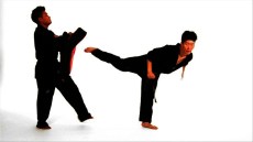 22_back_kick_and_jump_back_kick_xxxlarge (1)